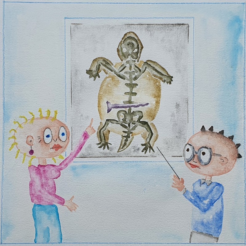 Vorschaubild des Farbbuchs Olympia und die Schraube